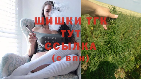 твердый Протвино