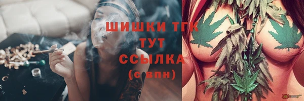 ECSTASY Богданович