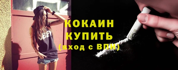 сатива Богородицк