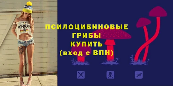 меф Богородск