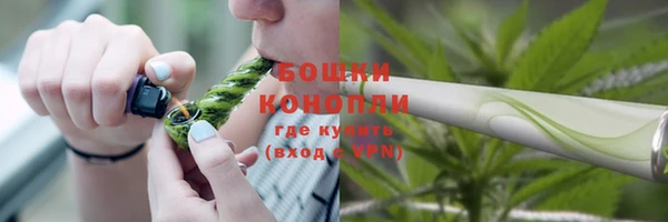 твердый Протвино