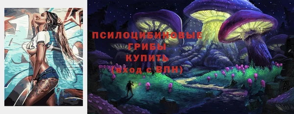 меф Богородск