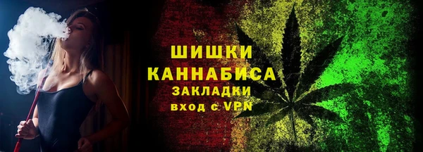 ECSTASY Богданович