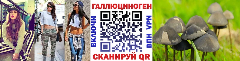 Псилоцибиновые грибы прущие грибы  где можно купить наркотик  мега как войти  Новый Оскол 